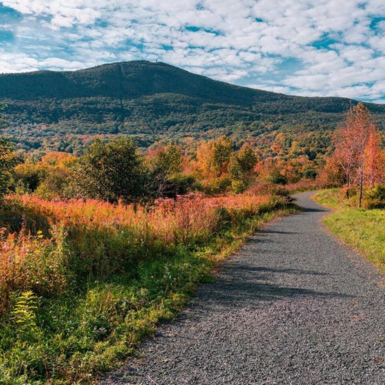 Appartamento 2 Bed Berkshire Getaway Minutes To Jiminy Peak Ski Hancock Esterno foto